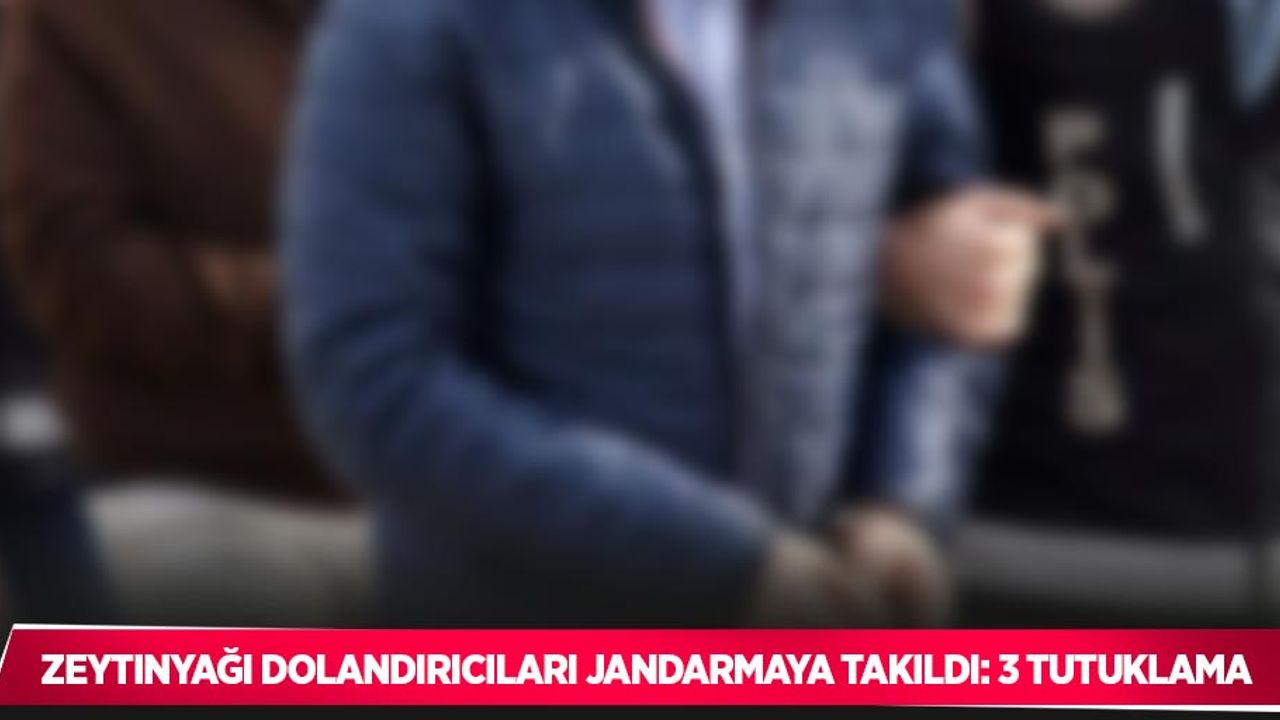Zeytinyağı dolandırıcıları jandarmaya takıldı: 3 tutuklama