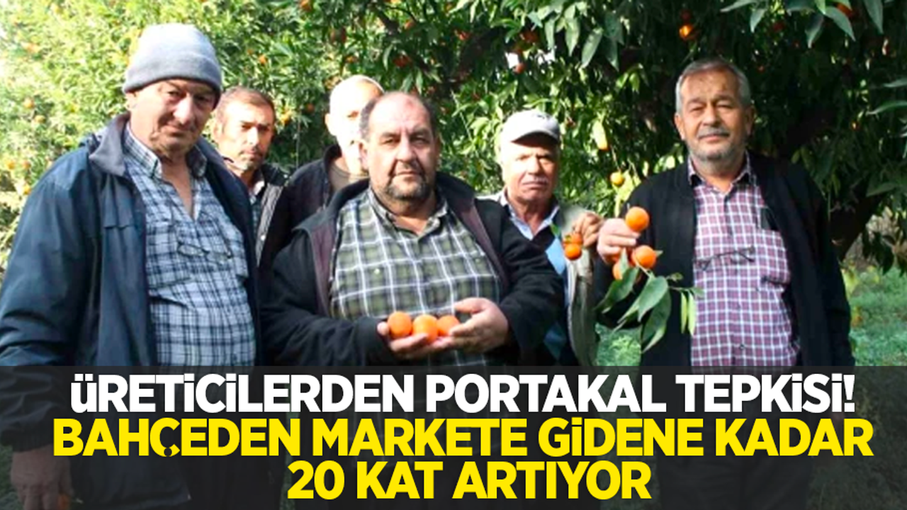 Üreticilerden portakal tepkisi! bahçeden markete gidene kadar 20 kat artıyor