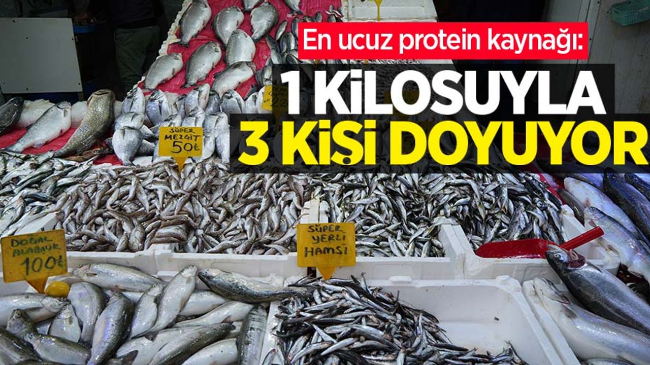 En ucuz protein kaynağı: “1 kilosuyla 3 kişi doyuyor”