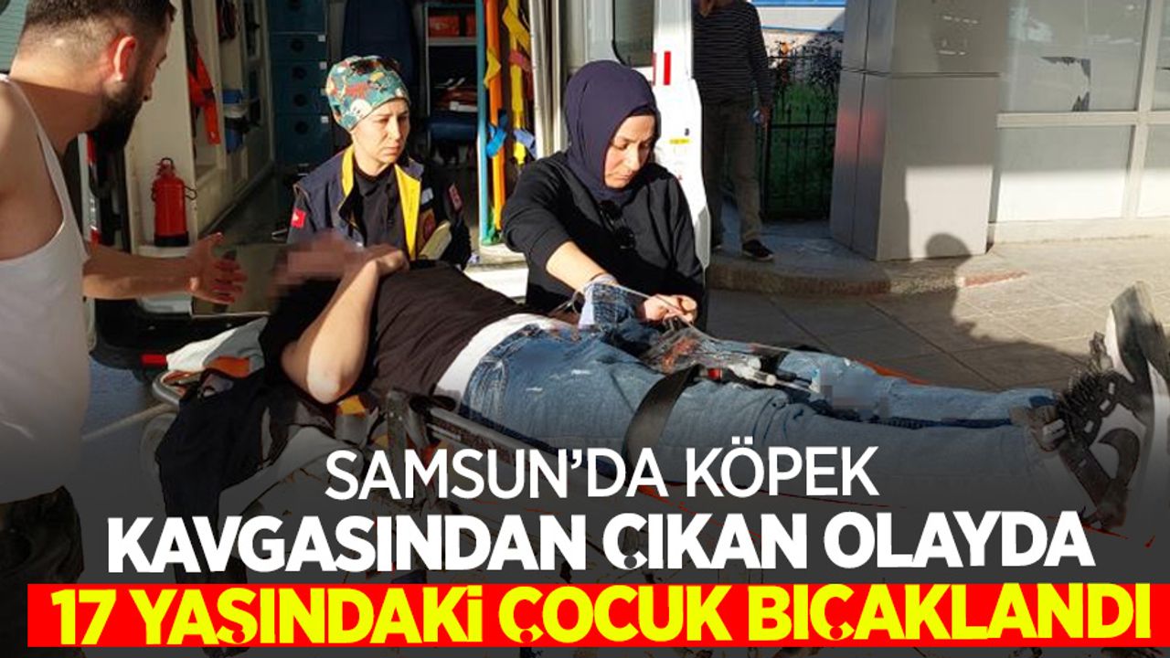 Samsun'da köpek kavgasıdan çıkan olayda 17 yaşındaki çocuk bıçaklandı