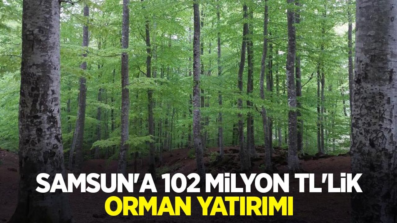 Samsun’a 102 milyon TL’lik orman yatırımı