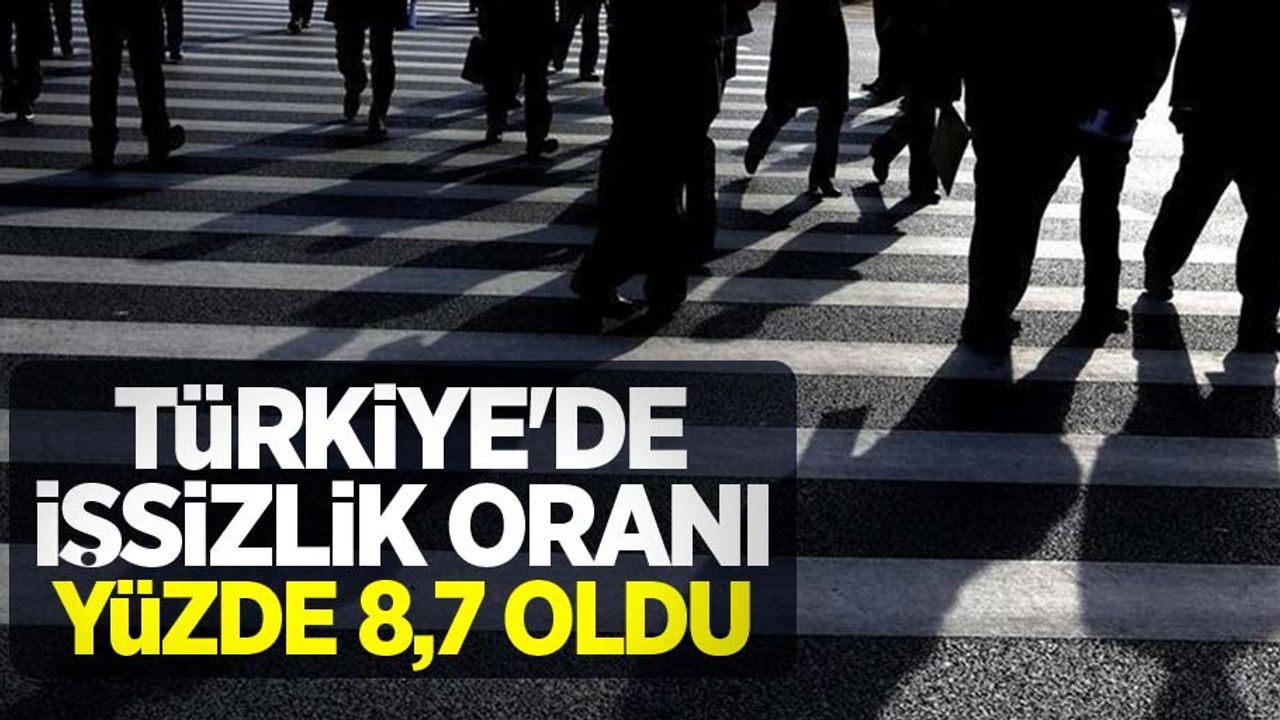 Türkiye'de işsizlik oranı yüzde 8,7 oldu