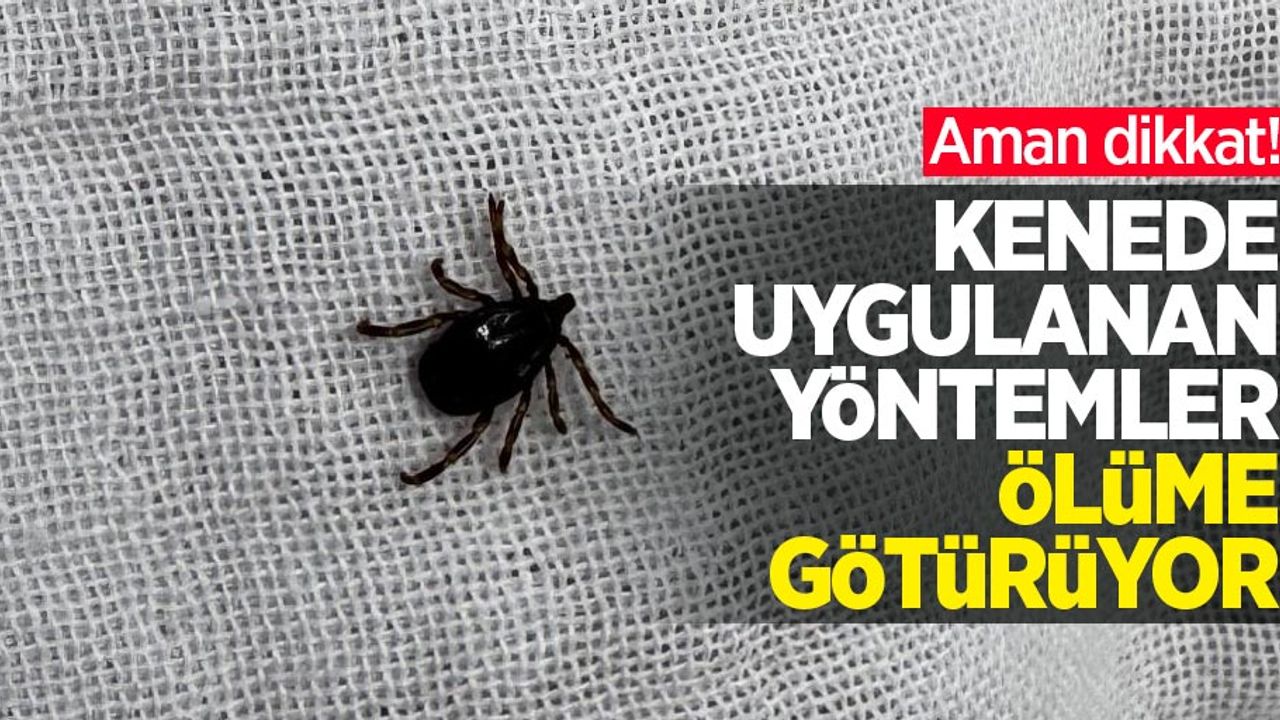 Aman dikkat! Kenede uygulanan yöntemler ölüme götürüyor