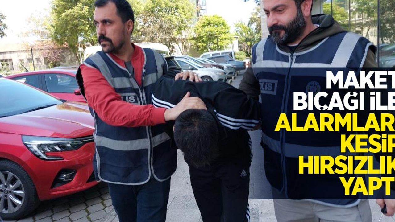 Maket bıçağı ile alarmları kesip hırsızlık yaptı