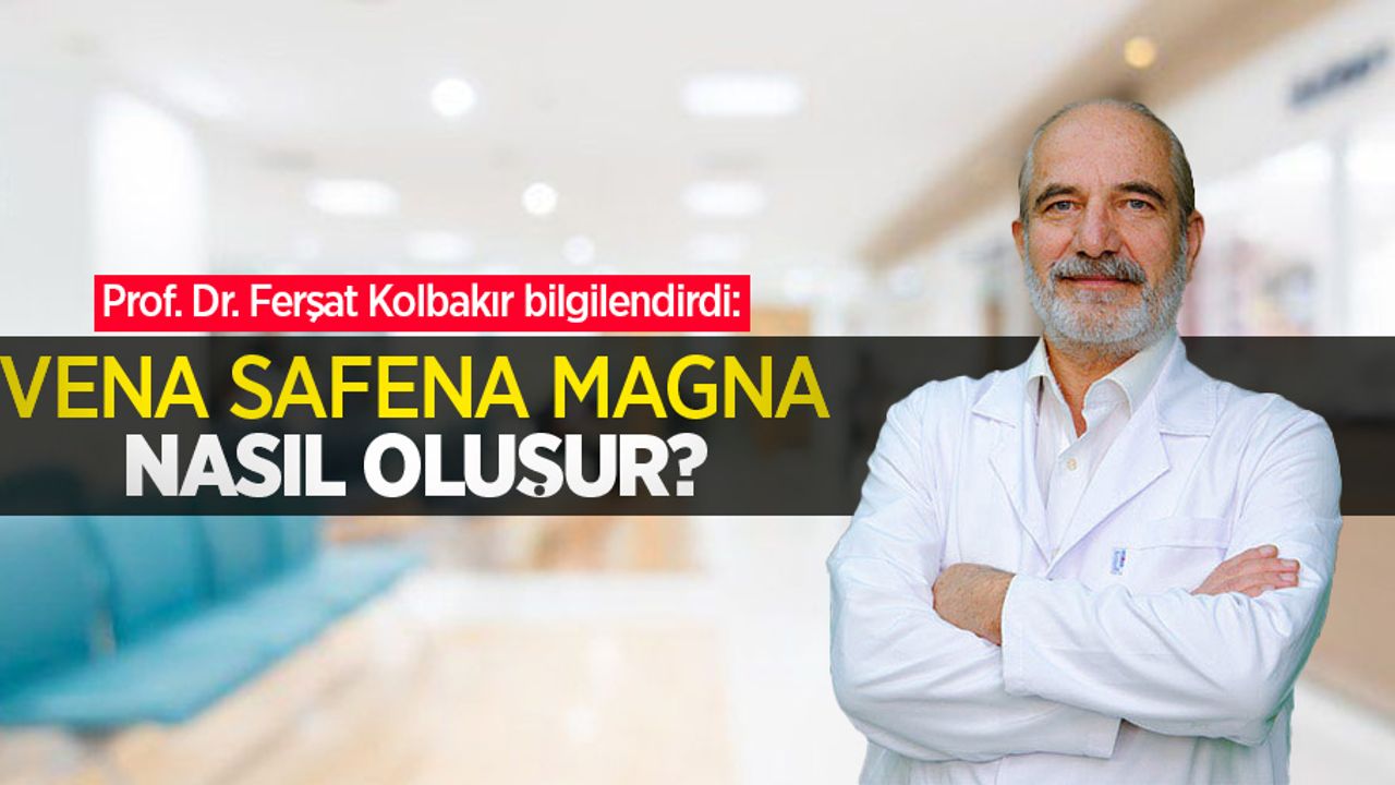 Prof. Dr. Ferşat Kolbakır bilgilendirdi: Vena safena magna nasıl oluşur?