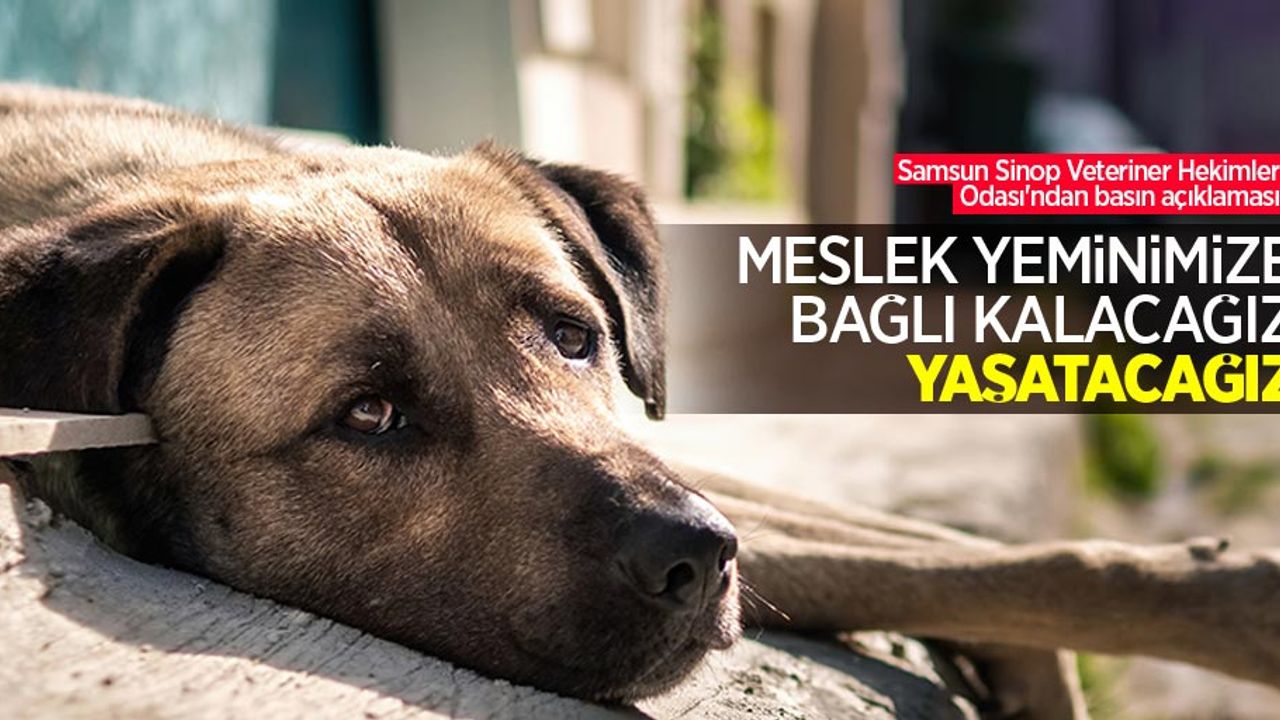 Samsun Sinop Veteriner Hekimler Odası'ndan basın açıklaması: Meslek yeminimize bağlı kalacağız, yaşatacağız