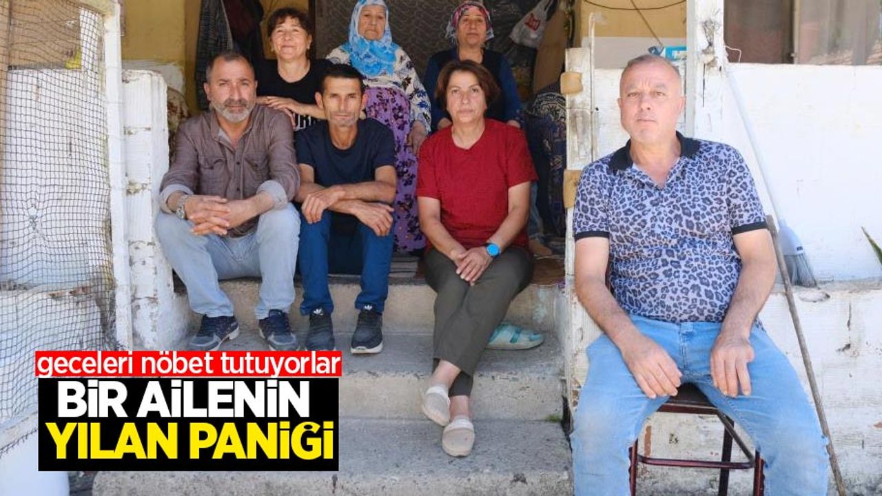 Bir ailenin yılan paniği: Geceleri nöbet tutuyorlar