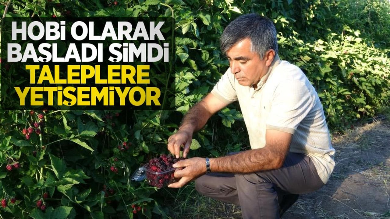 Hobi olarak başladı, şimdi taleplere yetişemiyor