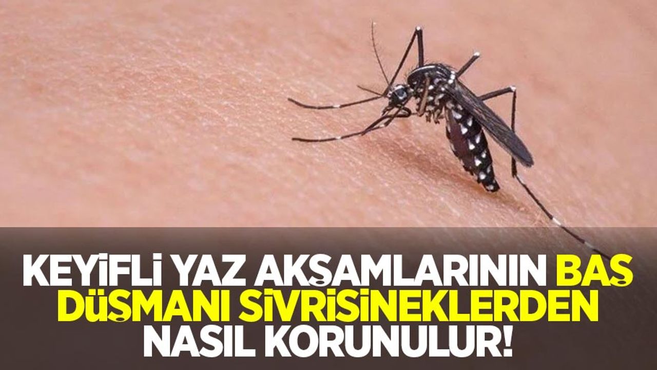 Keyifli yaz akşamlarının baş düşmanı sivrisineklerden nasıl korunulur!