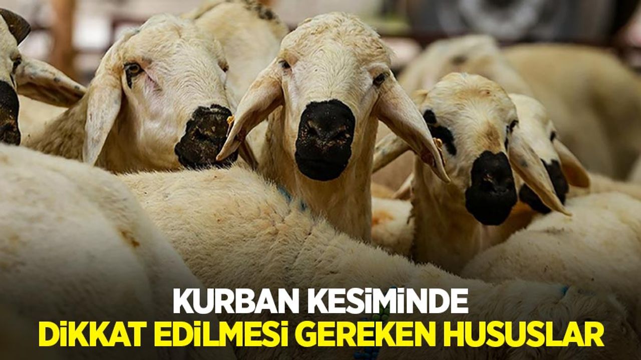 Kurban kesiminde dikkat edilmesi gereken hususlar