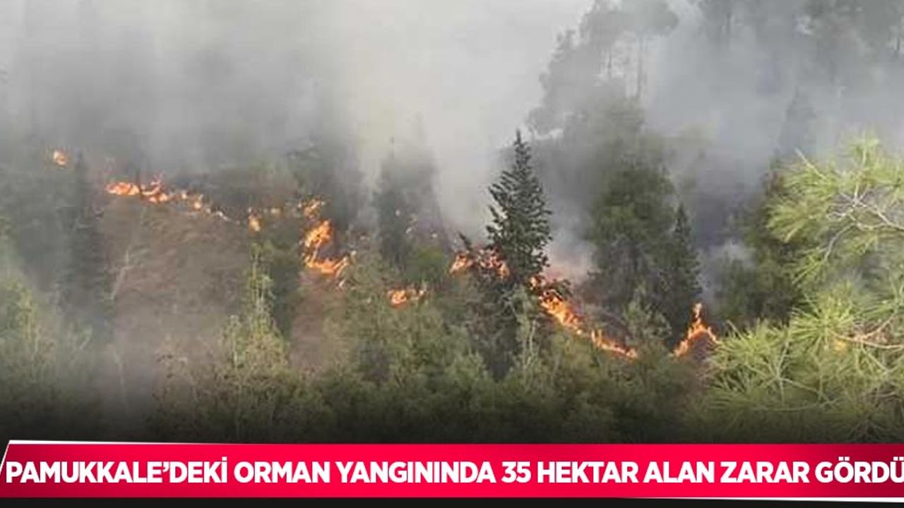 Pamukkale’deki orman yangınında 35 hektar alan zarar gördü