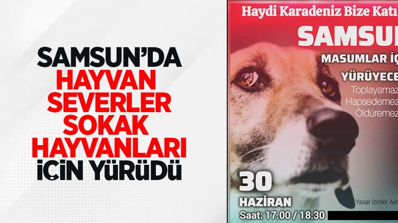 Samsun'da Hayvanseverler Sokak Hayvanları İçin Yürüdü