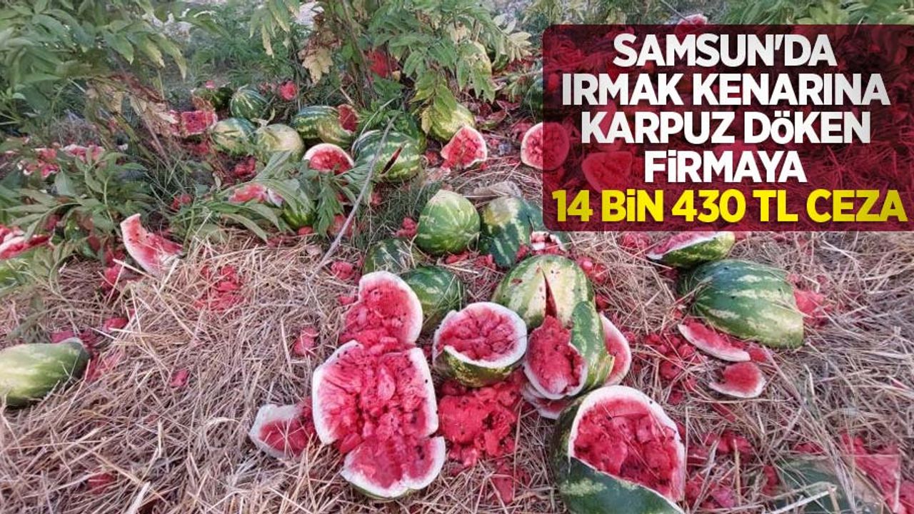 Samsun'da ırmak kenarına karpuz döken firmaya 14 bin 430 TL ceza
