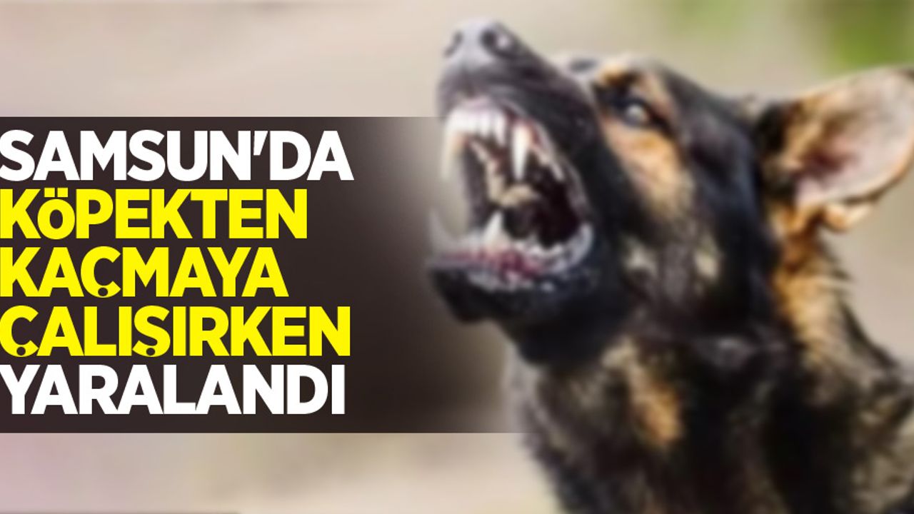 Samsun'da köpekten kaçmaya çalışırken yaralandı