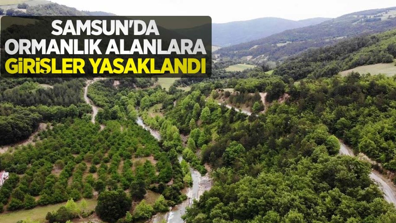 Samsun'da ormanlık alanlara girişler yasaklandı
