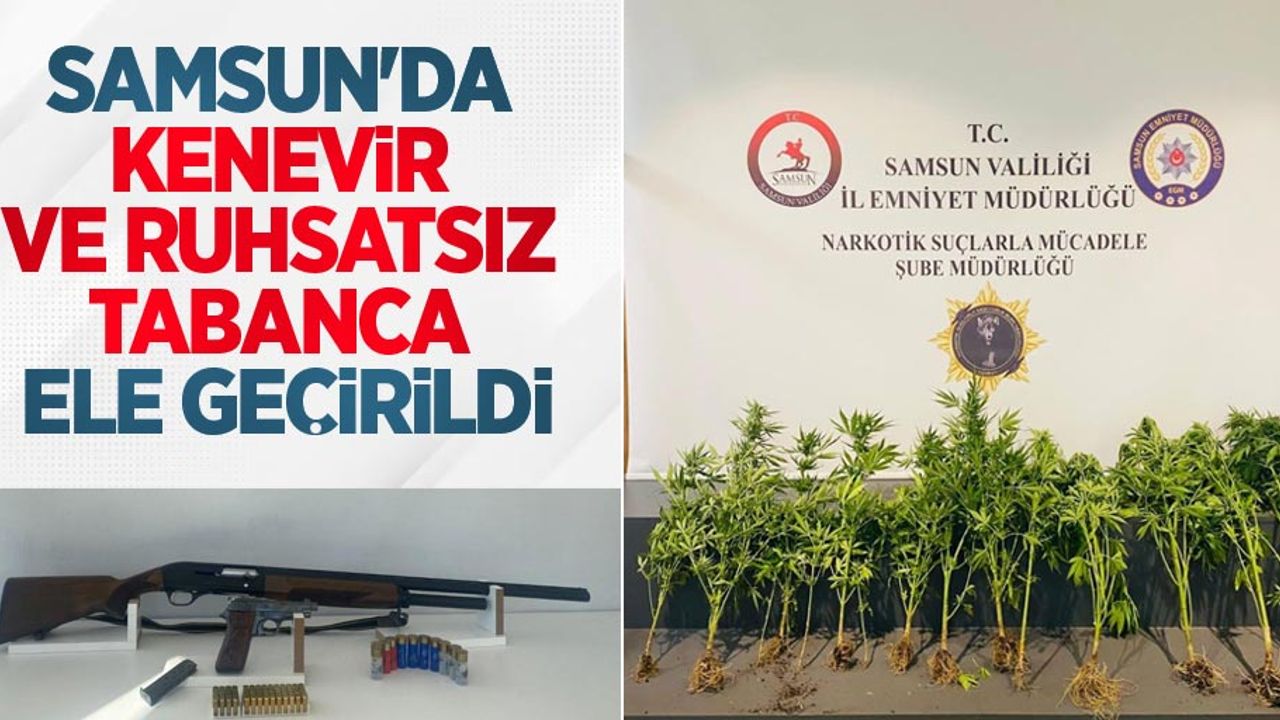 Samsun’da kenevir ve ruhsatsız tabanca ele geçirildi