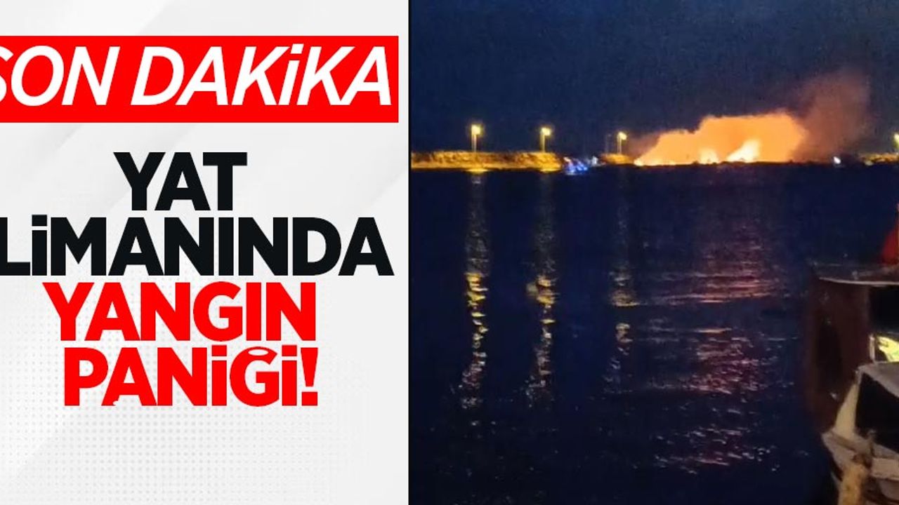 Son Dakika: Samsun Körfez Yat Limanı'nda Yangın Paniği