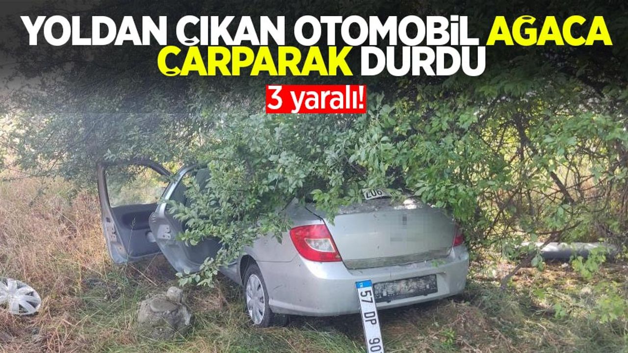 Yoldan çıkan otomobil ağaca çarparak durdu: 3 yaralı
