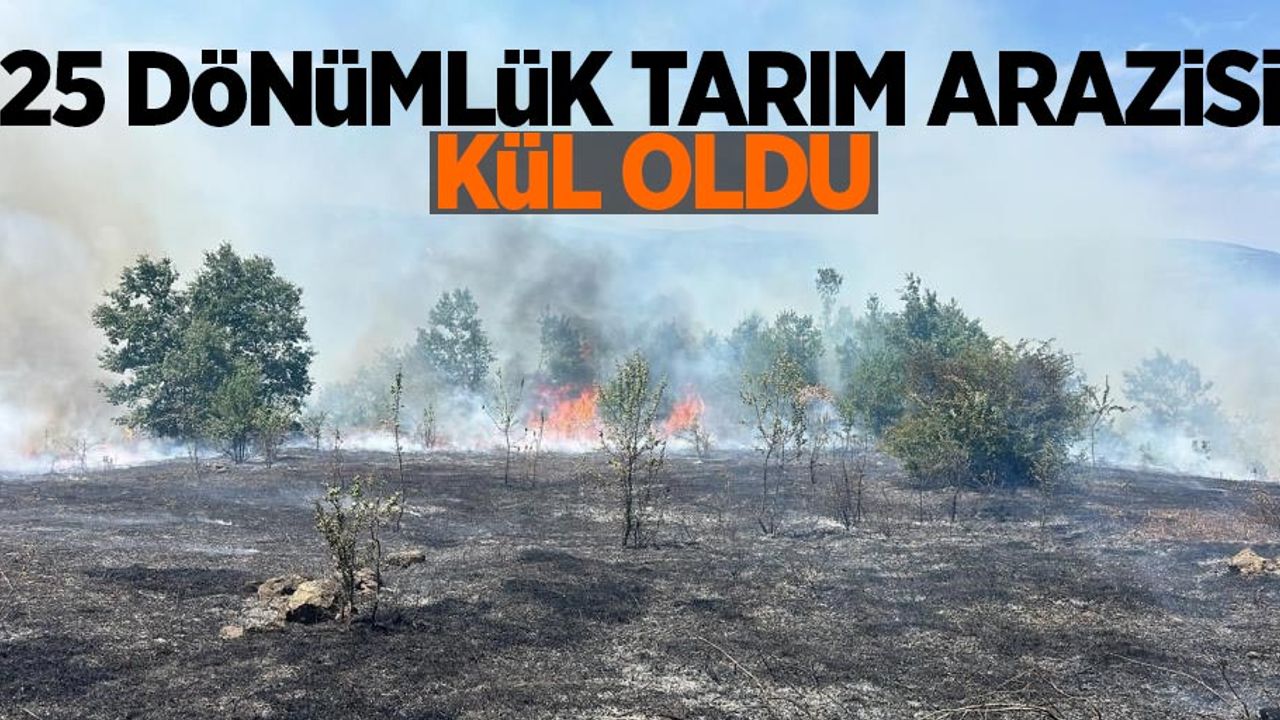 25 dönümlük tarım arazisi kül oldu