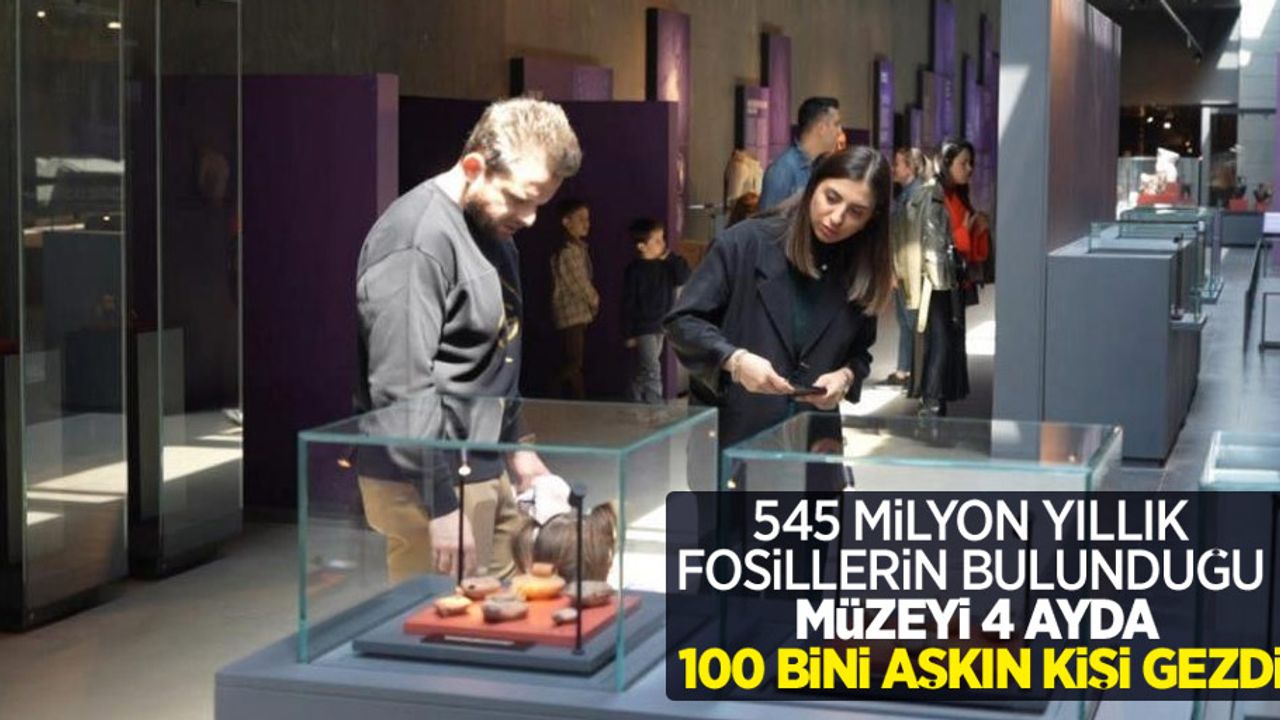 545 milyon yıllık fosillerin bulunduğu müzeyi 4 ayda 100 bini aşkın kişi gezdi
