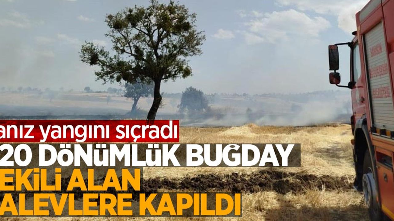 Anız yangını sıçradı 20 dönümlük buğday ekili alan alevlere kapıldı
