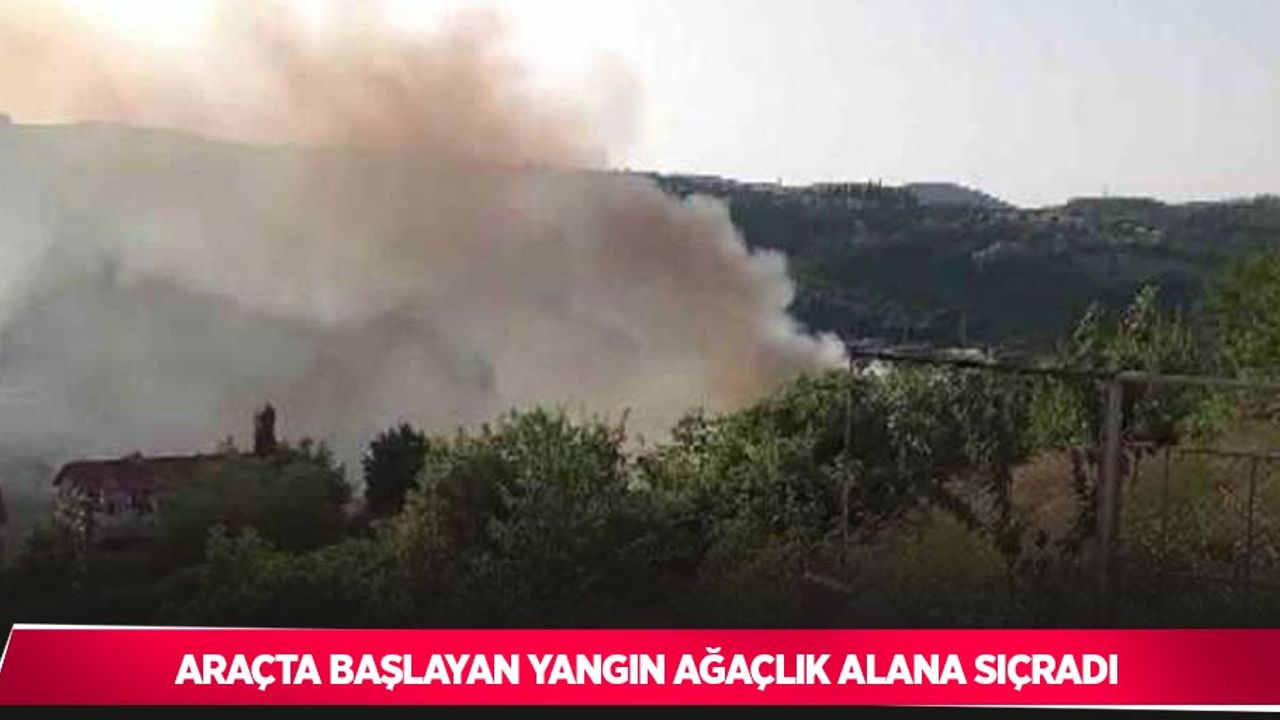 Araçta başlayan yangın ağaçlık alana sıçradı