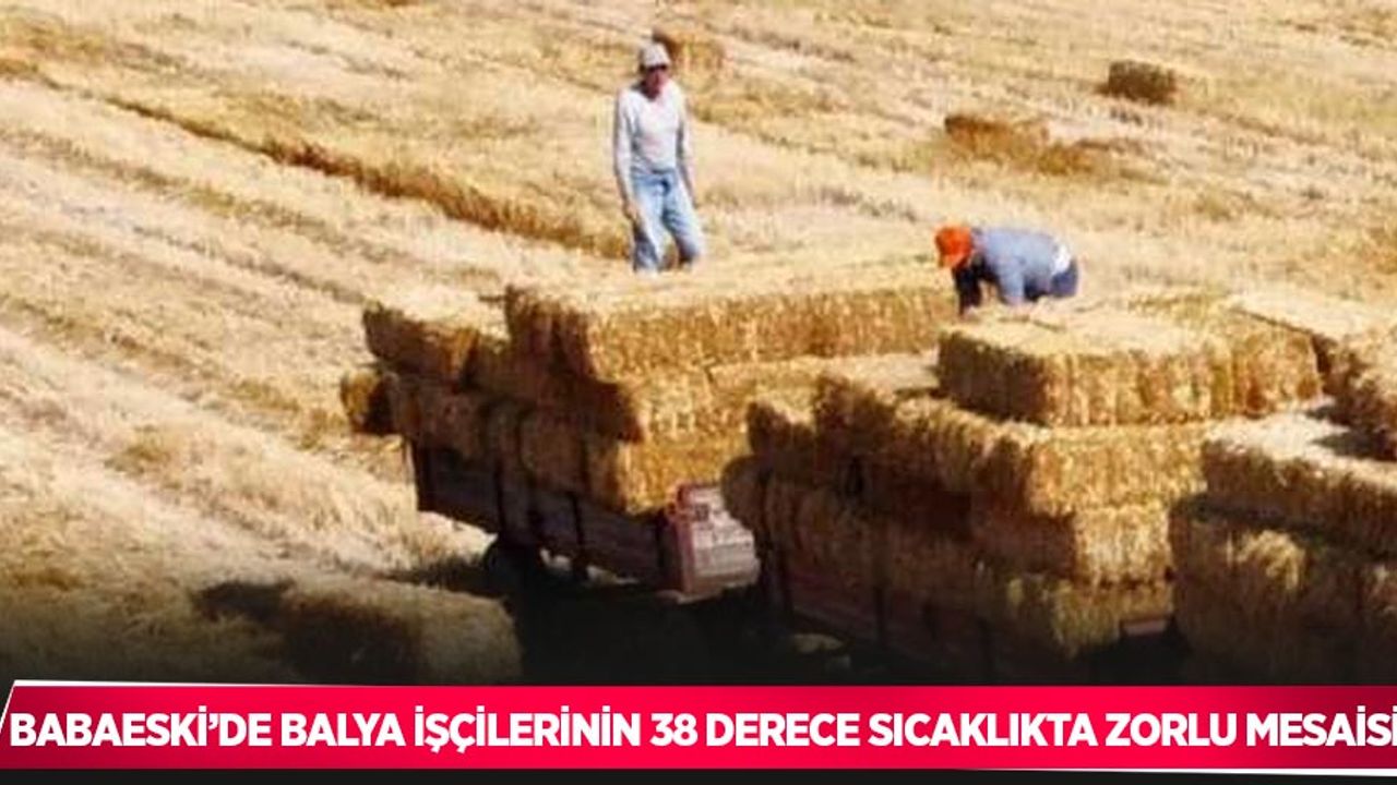 Babaeski’de balya işçilerinin 38 derece sıcaklıkta zorlu mesaisi