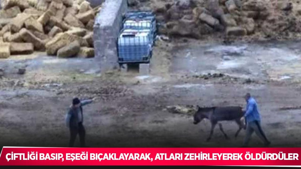 Çiftliği basıp, eşeği bıçaklayarak, atları zehirleyerek öldürdüler