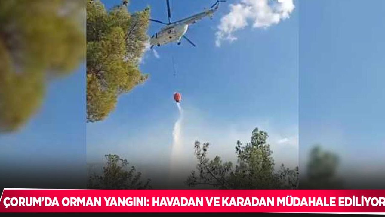 Çorum’da orman yangını: Havadan ve karadan müdahale ediliyor