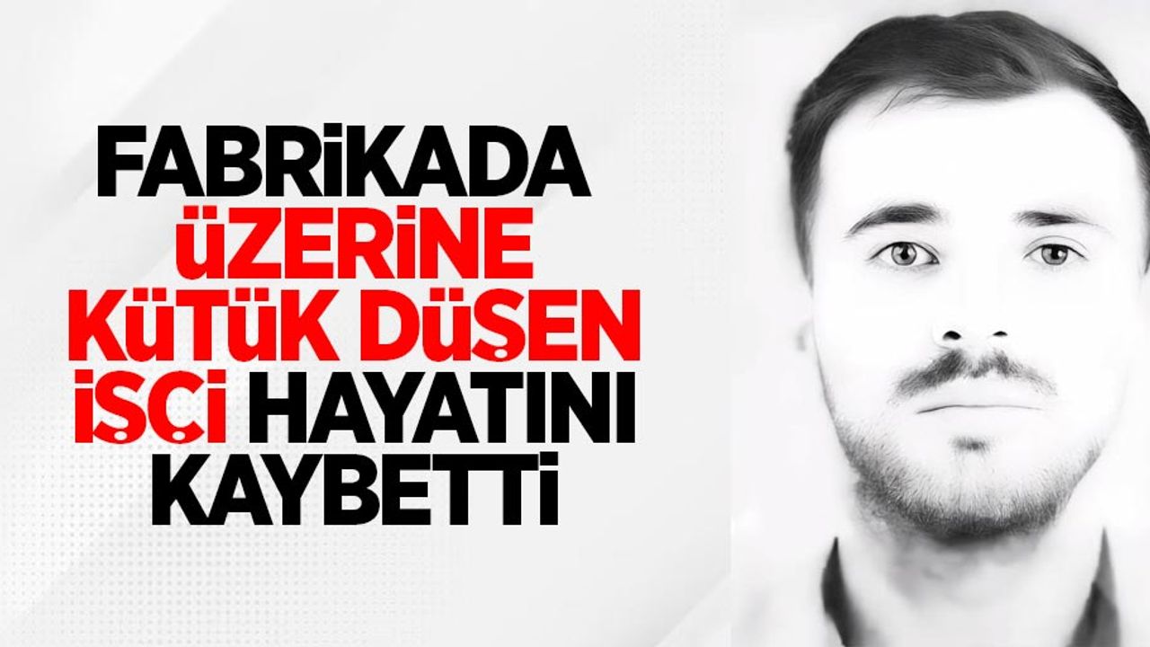 Fabrikada üzerine kütük düşen işçi hayatını kaybetti