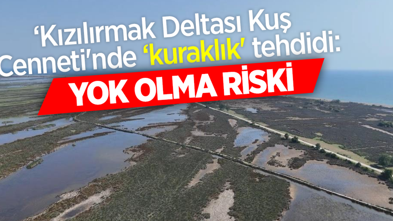 ‘Kızılırmak Deltası Kuş Cenneti'nde ‘kuraklık' tehdidi: Yok olma riski