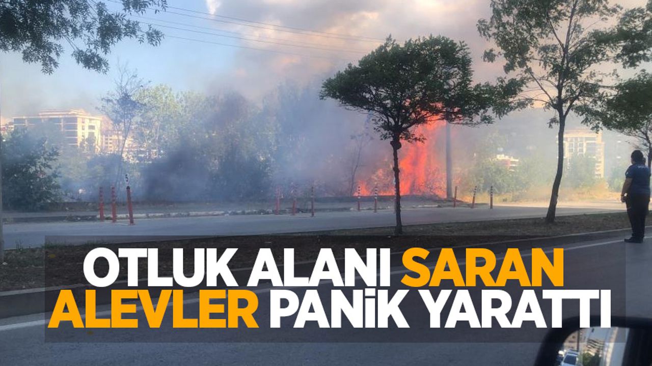 Otluk alanı saran alevler panik yarattı