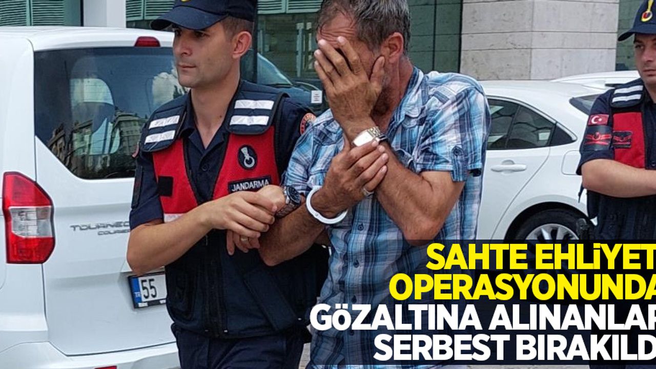 Sahte ehliyet operasyonunda gözaltına alınanlar serbest bırakıldı