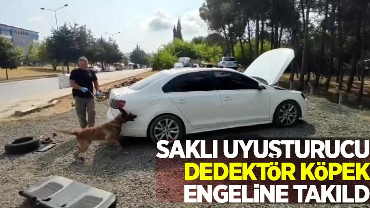 Saklı uyuşturucu dedektör köpek engeline takıldı
