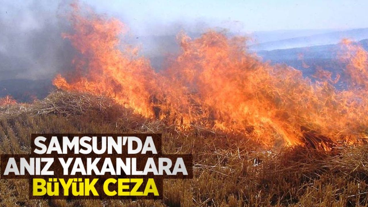 Samsun'da anız yakanlara büyük ceza