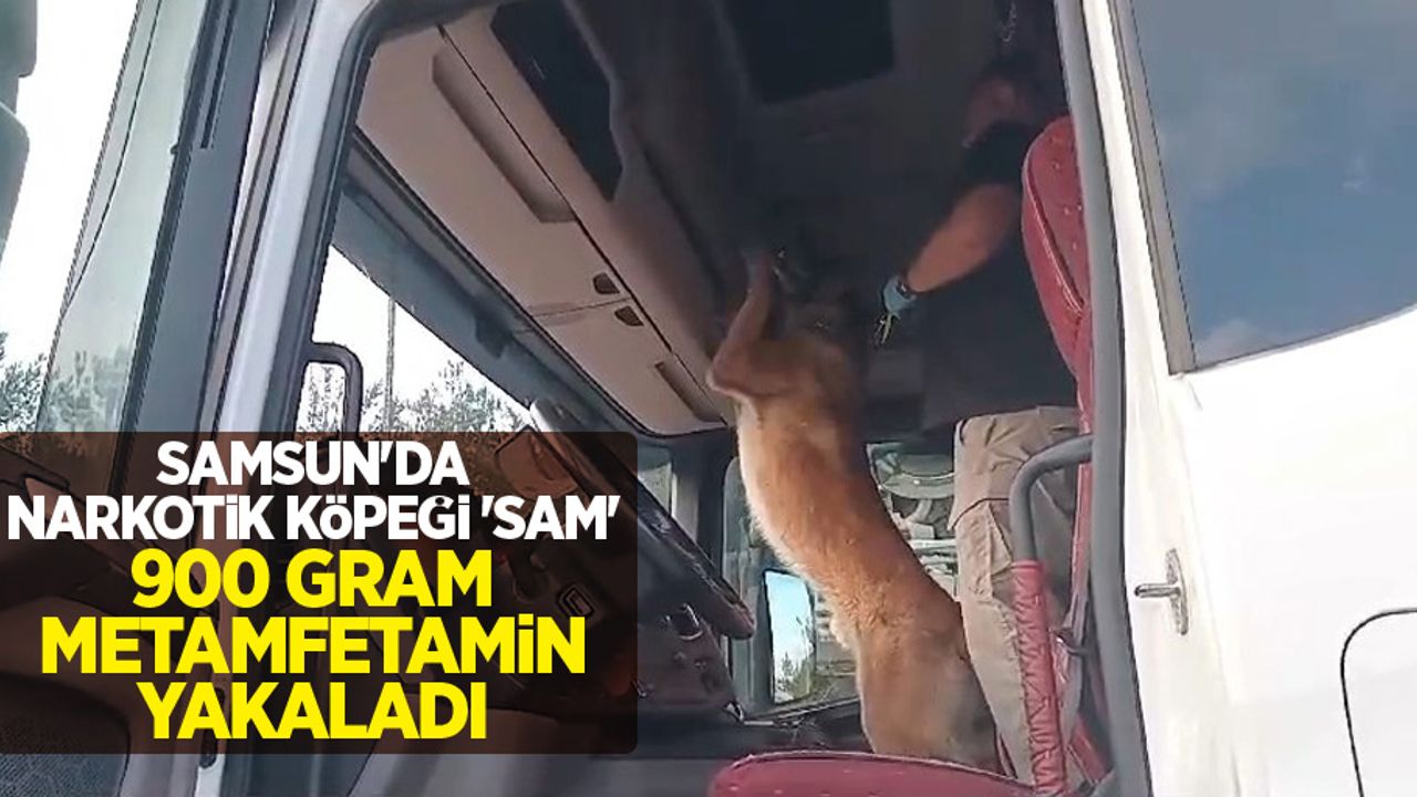 Samsun'da narkotik köpeği 'Sam' 900 gram metamfetamin yakaladı