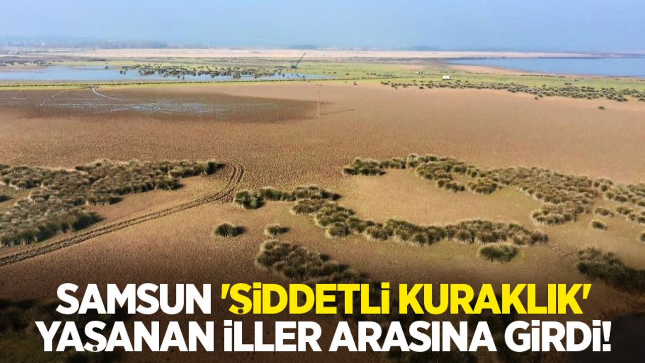 Samsun 'şiddetli kuraklık' yaşanan iller arasına girdi!