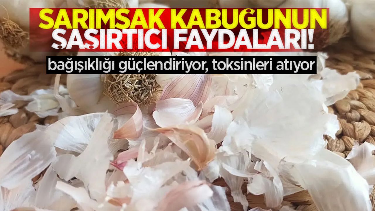 Sarımsak kabuğunun şaşırtıcı faydaları: Bağışıklığı güçlendiriyor, toksinleri atıyor!