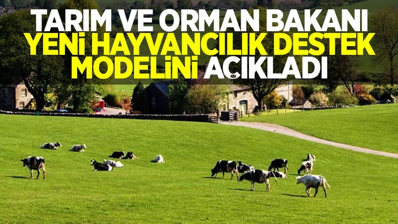 Tarım ve Orman Bakanı yeni hayvancılık destek modelini açıkladı