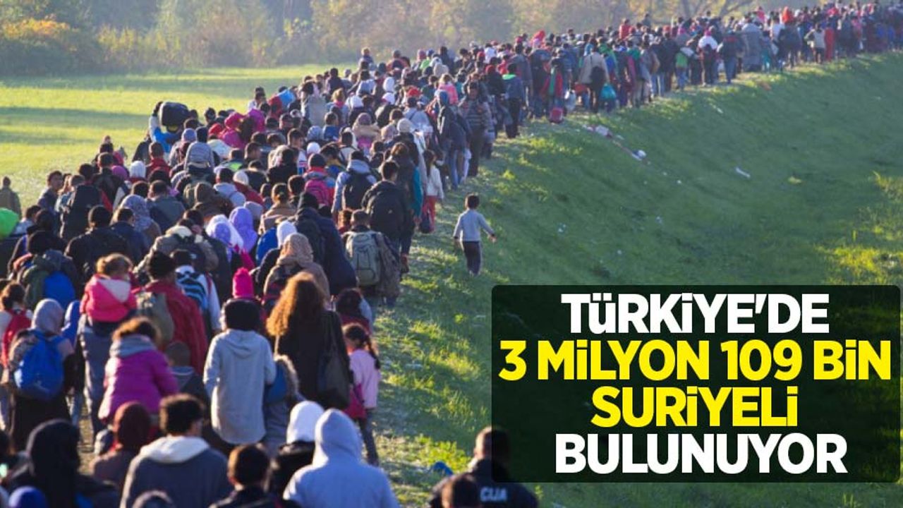 Türkiye'de 3 milyon 109 bin Suriyeli bulunuyor