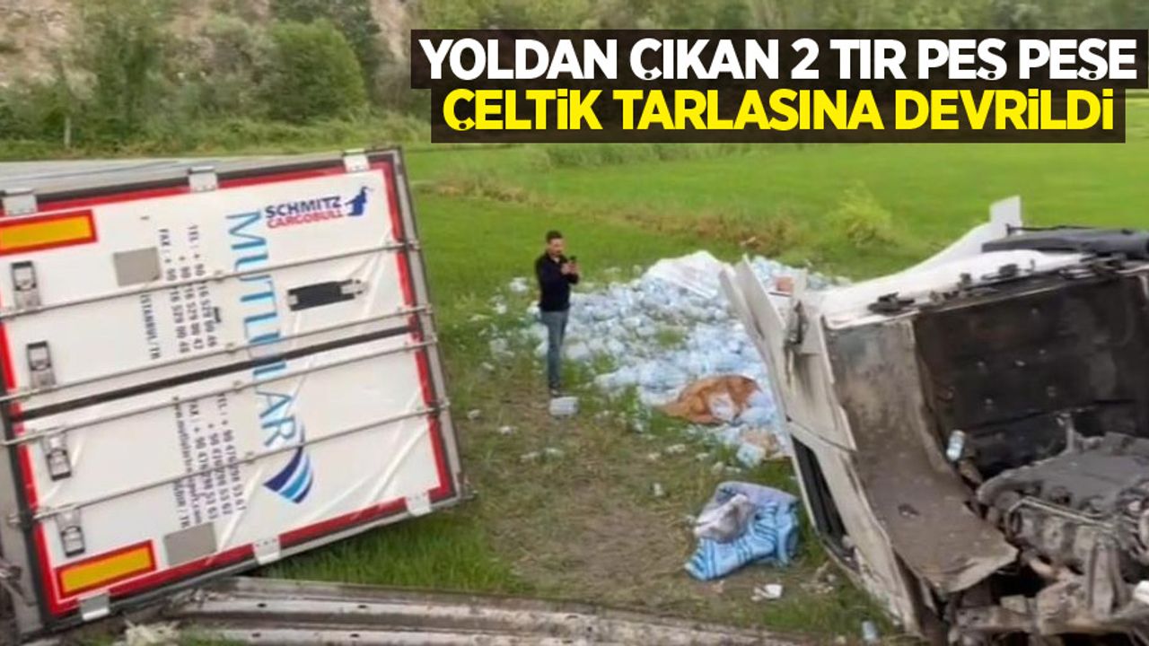 Yoldan çıkan 2 tır peş peşe çeltik tarlasına devrildi