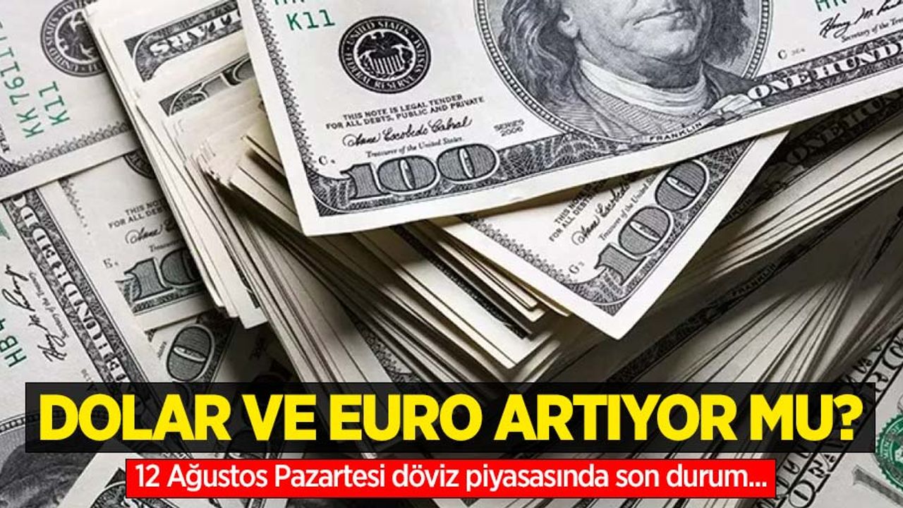 12 Ağustos Pazartesi dolar ne kadar oldu, euro ne kadar?