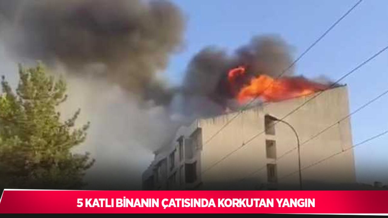 5 katlı binanın çatısında korkutan yangın