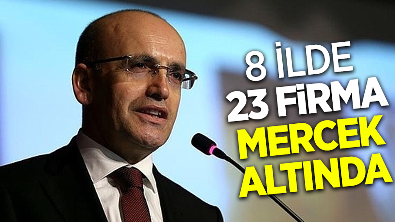 8 İlde 23 firma mercek altında