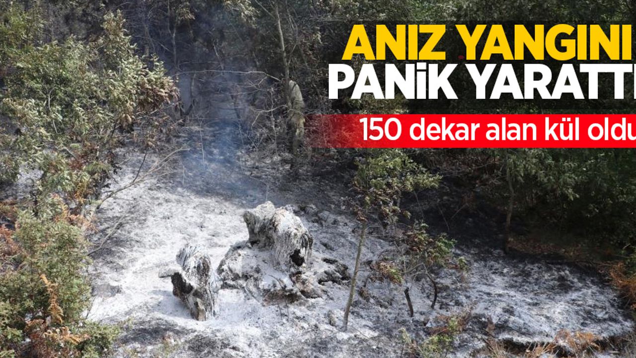 Anız yangını panik yarattı: 150 dekar alan kül oldu!