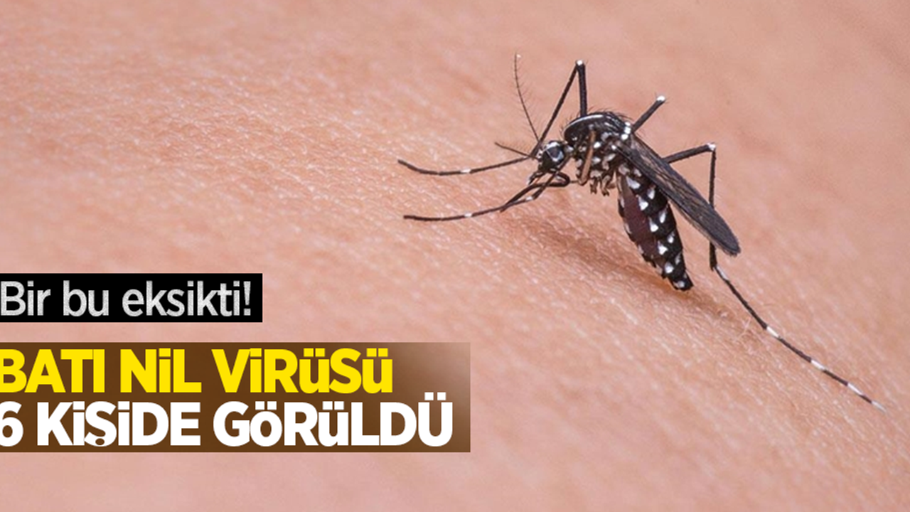 Bir bu eksikti: Batı Nil Virüsü 6 kişide görüldü!