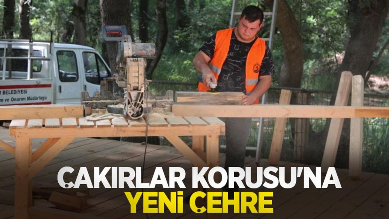 Çakırlar Korusu'na yeni çehre