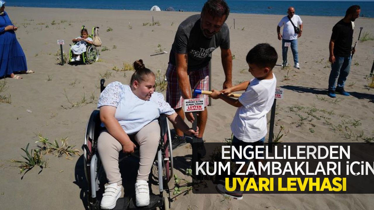 Engellilerden kum zambakları için uyarı levhası