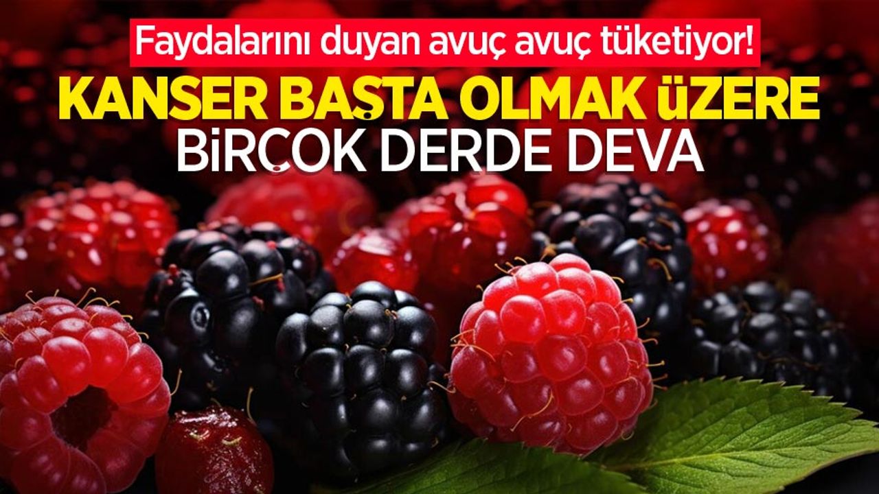 Faydalarını duyan avuç avuç tüketiyor! Kanser başta olmak üzere birçok derde deva