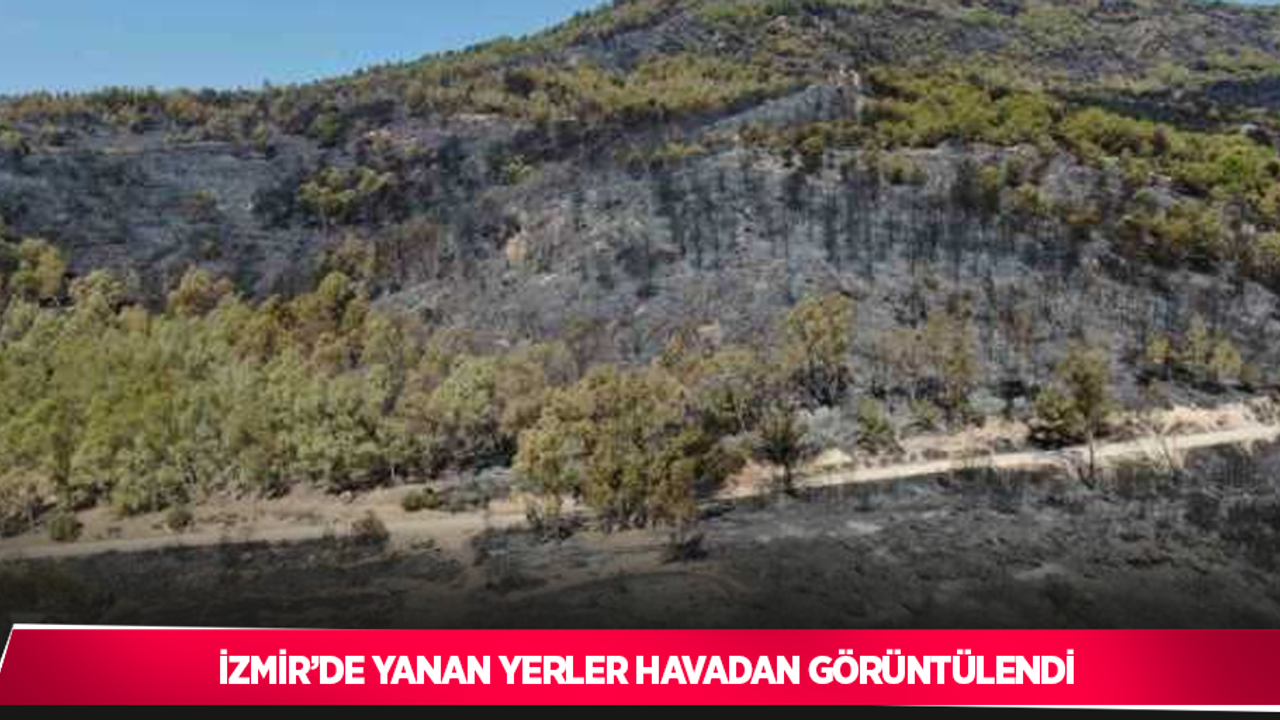 İzmir’de yanan yerler havadan görüntülendi